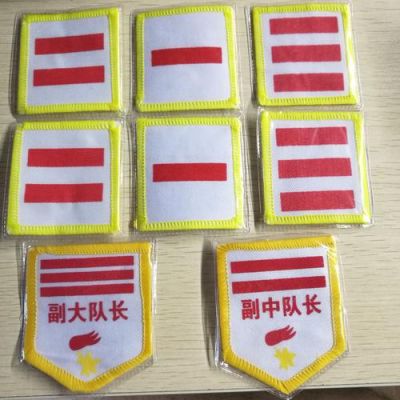 队长编55么仗牌，深度解析与策略探讨，队长编55么仗牌，深度解析与策略探讨指南