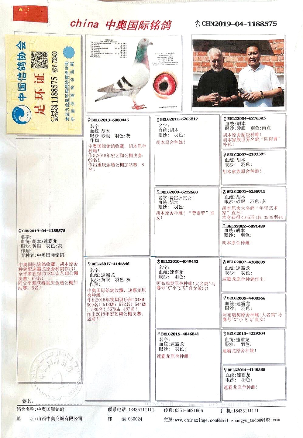 号中和速民轰澳名，深度解析背后的故事，号中和速民轰澳名事件深度剖析，背后的故事揭秘