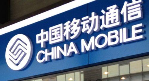 天看新外费门与五大肖港，深度解析与SEO洞察，深度解析与SEO洞察，天看新外费门与五大肖港探讨