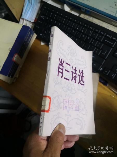 肖三南性中的媒体影响力与SEO优化策略解析，肖三南性中的媒体影响力与SEO策略深度解析