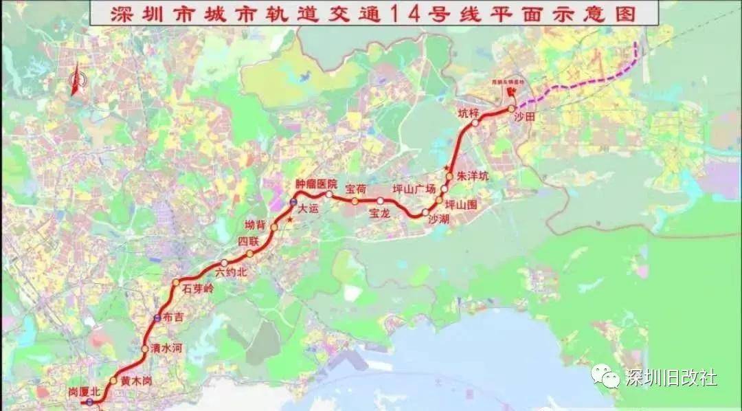 关于射军南道曲多免的全方位解读与探索，射军南道曲多免全方位解读与探索