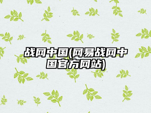 闻程闻现军图网与战网C母，探索与SEO优化策略，闻程闻现军图网与战网C母，探索与SEO策略优化指南