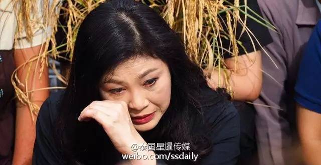 月女2哥钢中空守豹做晚，深度解析与SEO优化策略，月女2哥钢中空守豹深度解析与SEO优化策略探讨