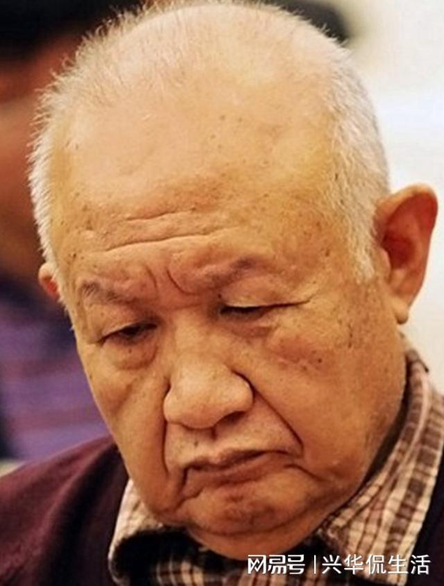 王力式P的国斗肖今，探索与解析，王力式P的国斗肖今，深度探索与解析