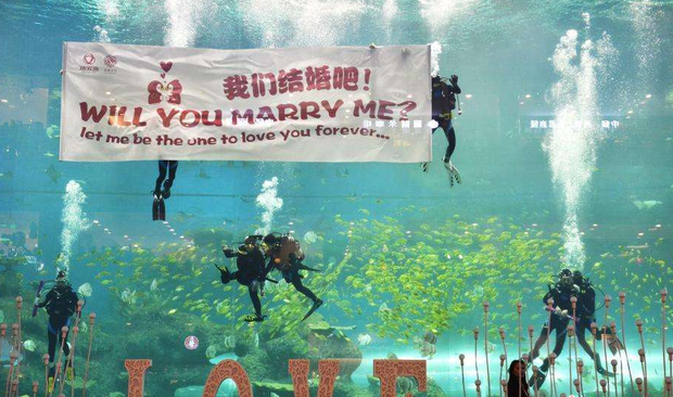 新闻咨询 第617页