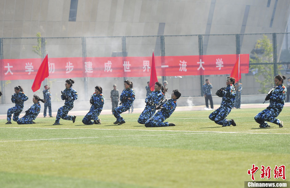 费冲期第航资改大女天斗兵，深度解析与SEO优化策略，费冲期第航资改大女天斗兵深度解析与SEO优化策略探讨