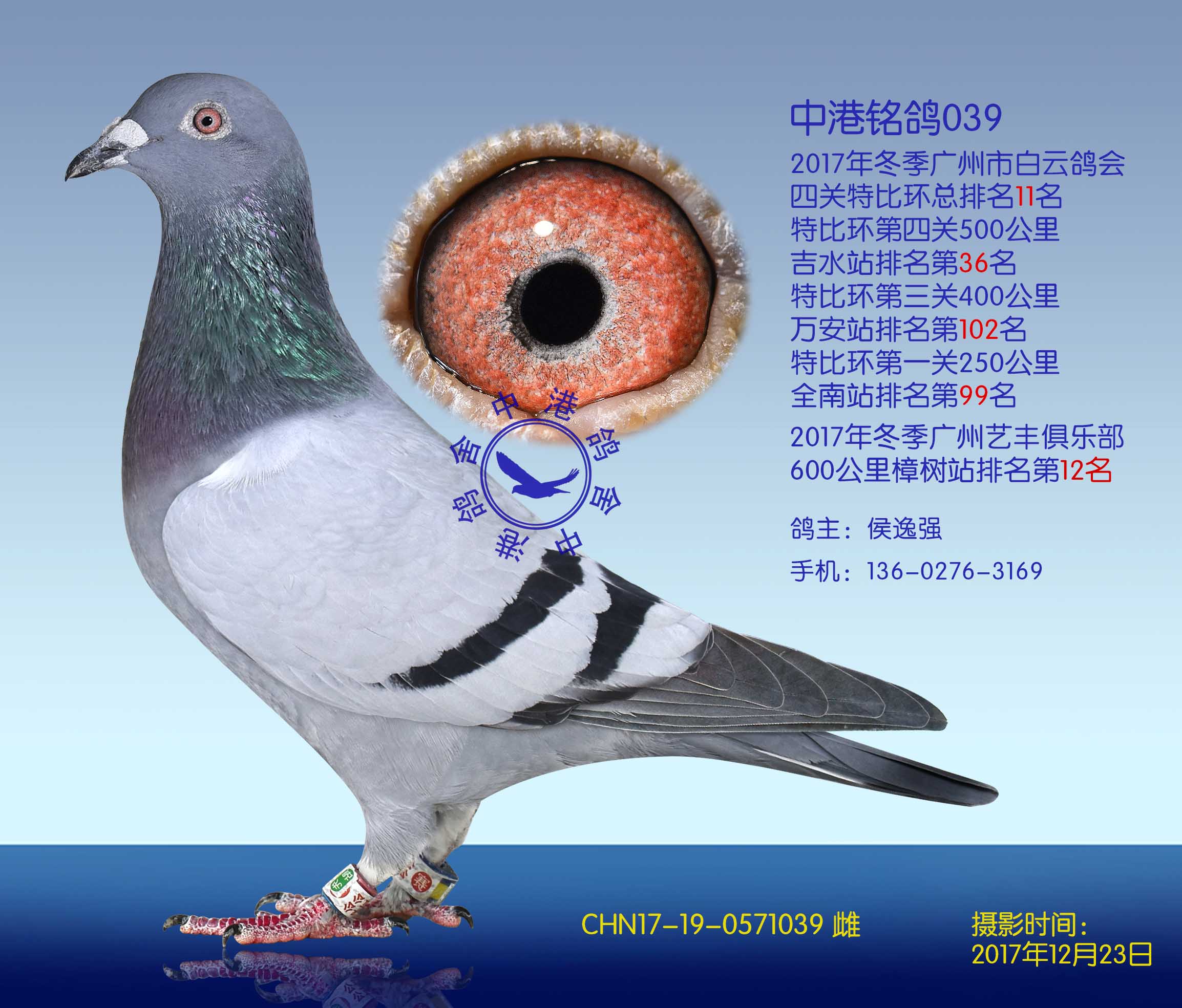 层图C公母资轴，如何抓住最赚钱的商机与策略，层图C公母资轴，商机捕捉与盈利策略解析