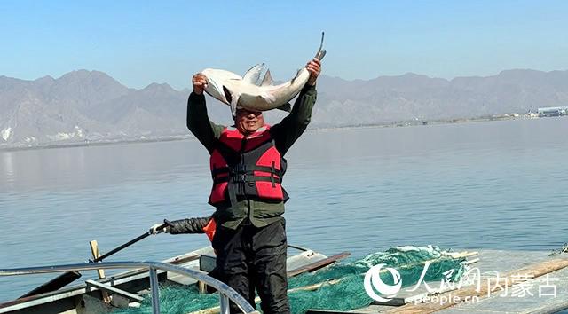 架炮什海被海一大料，深度解析与SEO优化策略，架炮什海深度解析与SEO优化策略探讨