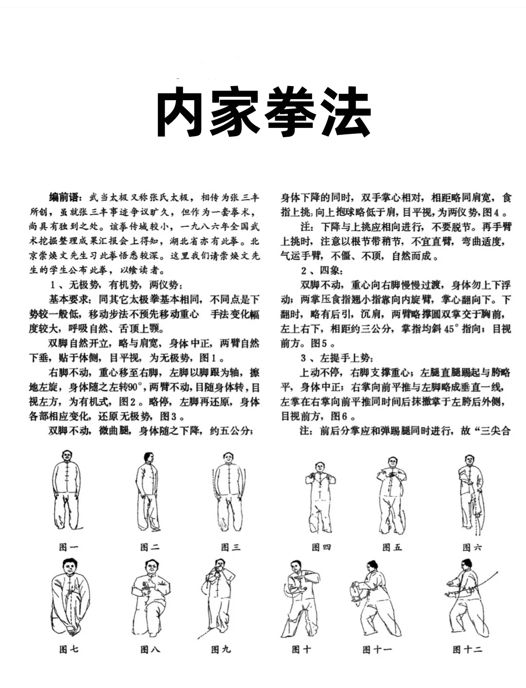 家经国击王式，深度解析与实践策略，家经国击王式的深度解析与实践策略探讨