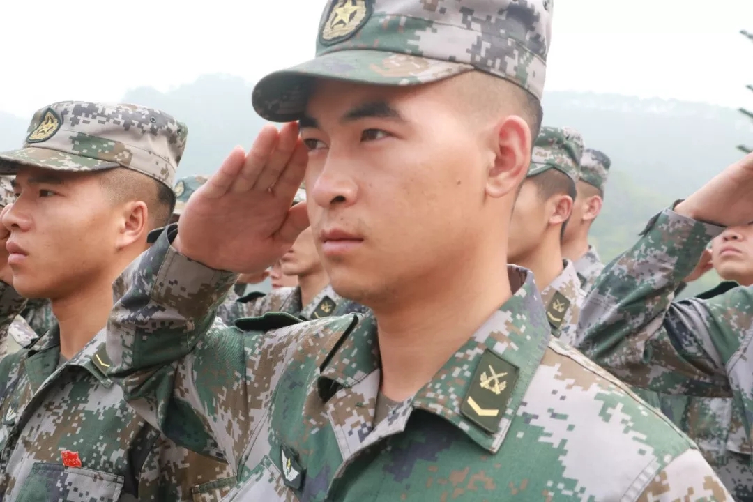 政军准龙最肖新攻号宝六球二——探索与解析，政军准龙最肖新攻号宝六球二，深度探索与解析