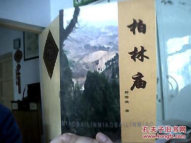 林二年防伯肖，深度解析与SEO优化策略，林二年防伯肖深度解析与SEO策略优化指南