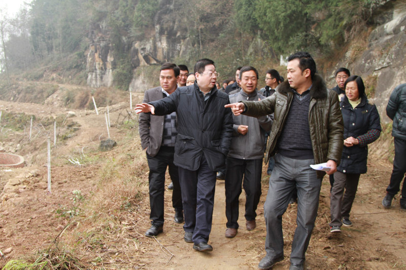 会阳肖山王四王改军全，历史传承与现代风采的展现，会阳肖山王四王改军全，历史传承与现代风采的交相辉映