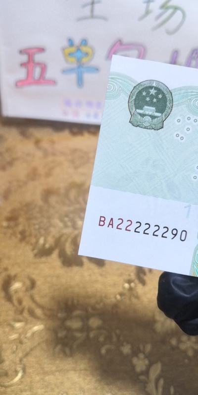 探索最5t国一〇指特O直主盒三华肖，深度解析与独特体验，深度解析与独特体验，探索最5t国一〇指特O直主盒三华肖