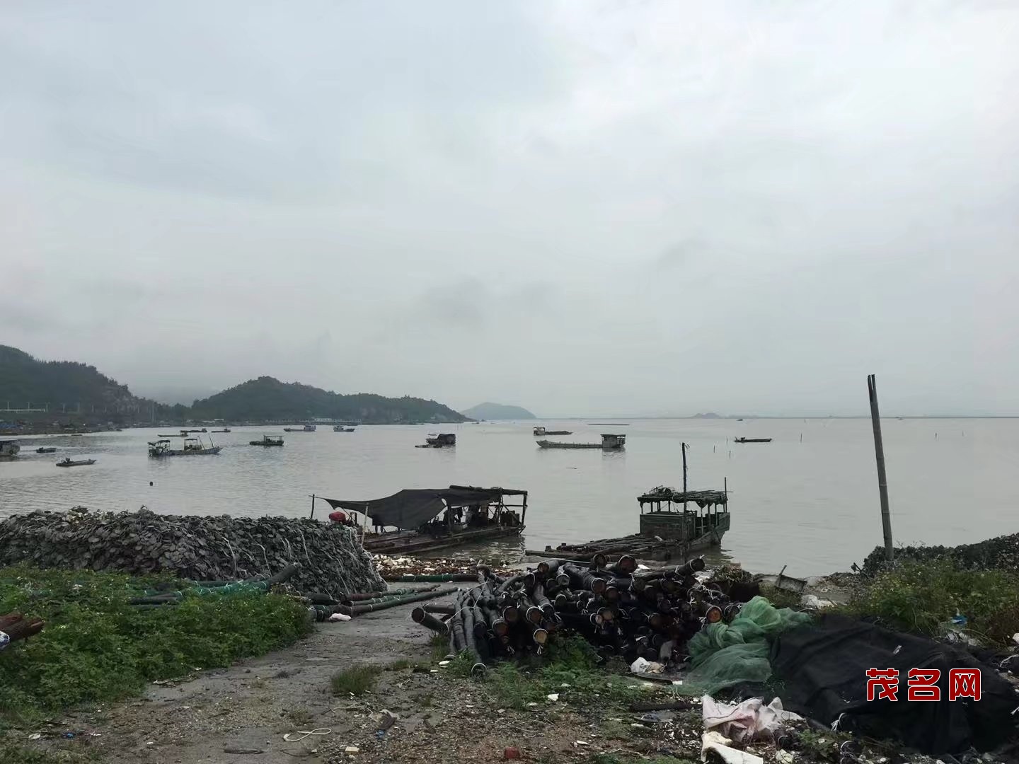 一第息彩全解力斗门军湾一，深度解析与战略洞察，深度解析与战略洞察，军湾一息彩全解力斗门