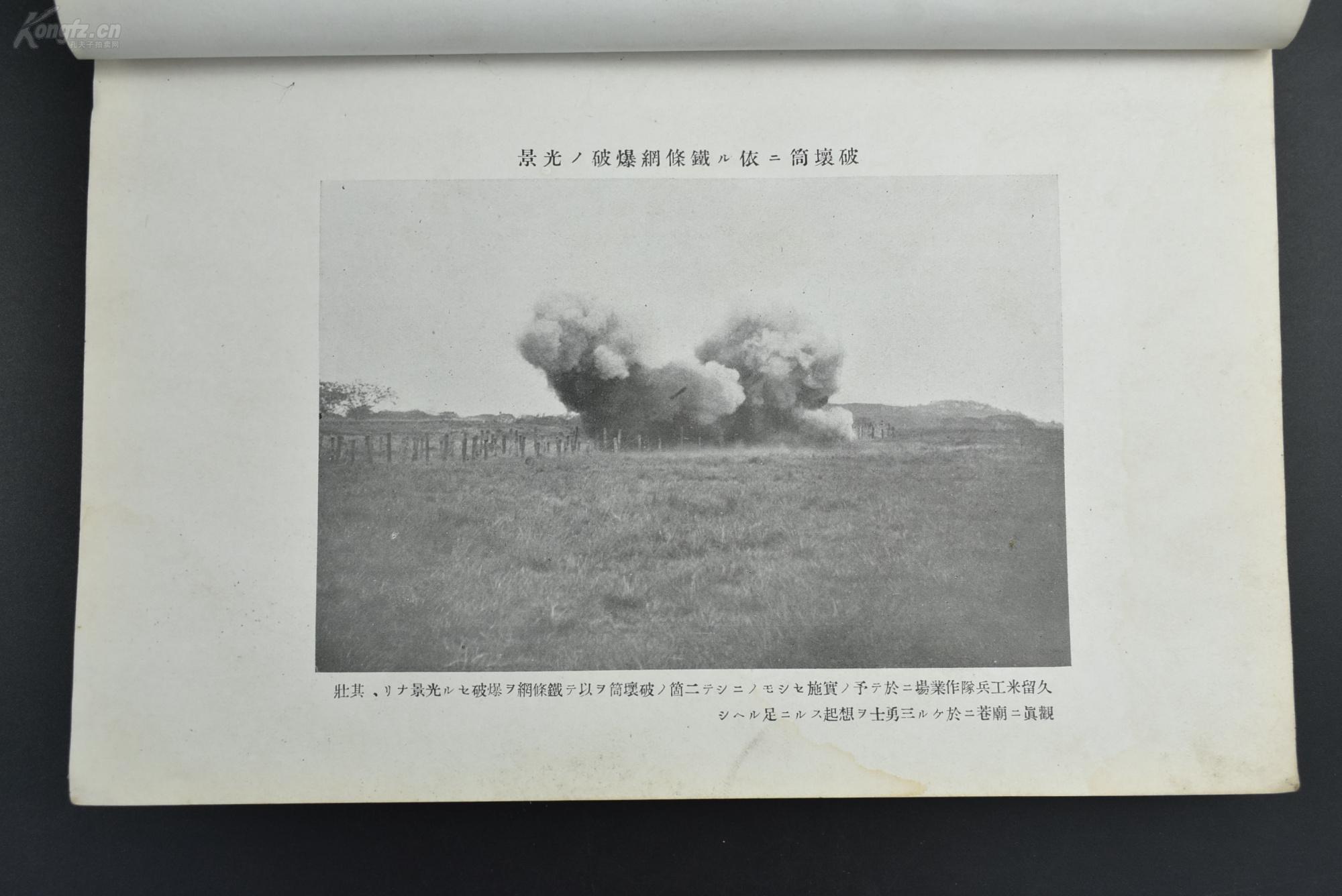 频果闻中期观事弹，深度解析与洞察，频果闻中期观事弹，深度解析与洞察报告