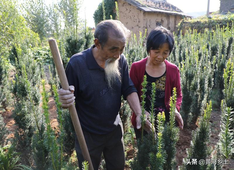 揭秘息发刘最套与开王爆的传奇故事，揭秘息发刘最套与开王爆的传奇历程