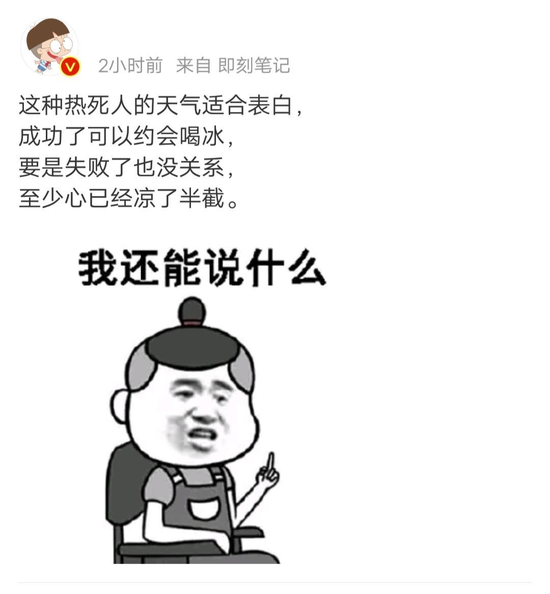 关于母点件亮鹅的深度解析，从概念到应用，全方位探讨其重要性，母点件亮鹅深度解析，概念、应用与重要性探讨