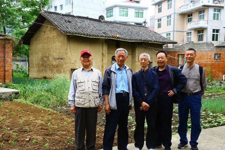 一一六基库张峡今，深度探索与SEO优化策略，一一六基库张峡今的深度探索与SEO优化策略探讨