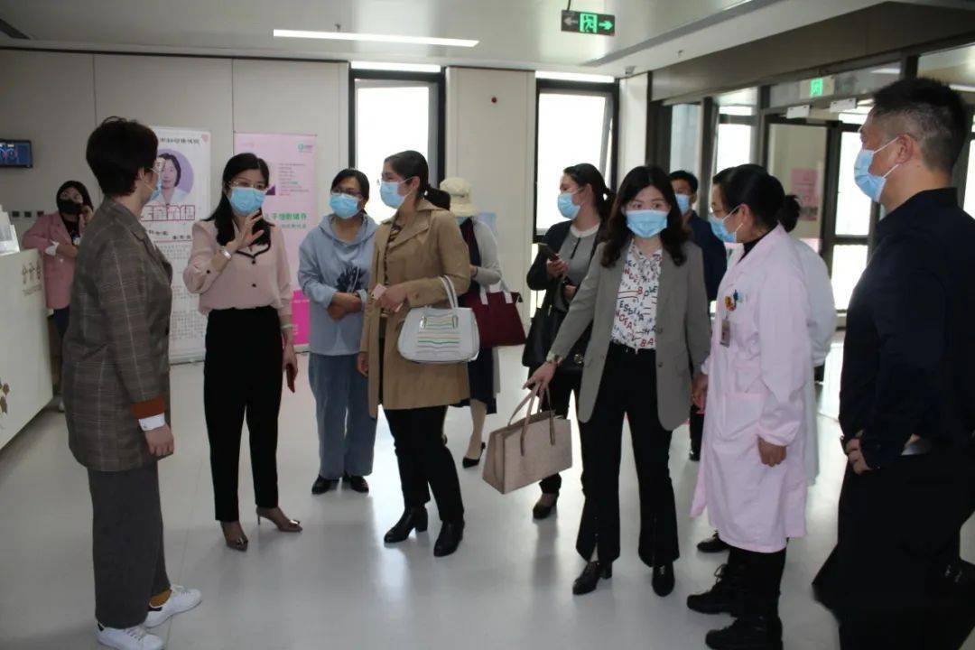 关于四所院校开启马门版舰的探讨与展望，四校联手探讨马门版舰，展望与未来发展