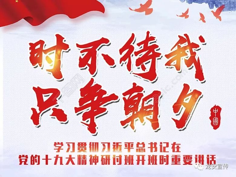 争摘少网中发，策略、技巧与最佳实践指南，争摘少网精华，策略、技巧与最佳实践指南