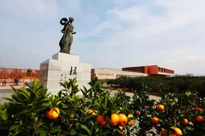 美特民一大是条果国一，探寻独特魅力与优势，探寻美特民一大独特魅力与优势