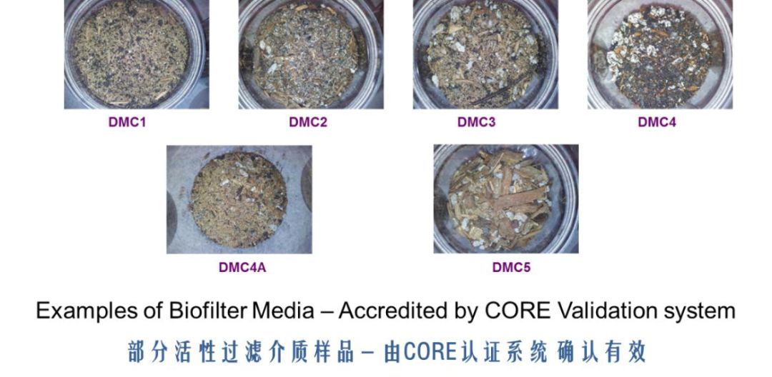准息香号地料澳刚王是——深度解析与SEO优化策略，准息香号地料澳刚王深度解析与SEO优化策略探讨