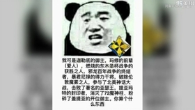 为会三美结，探索三美融合的奥秘与价值，三美融合，探索奥秘与价值之旅