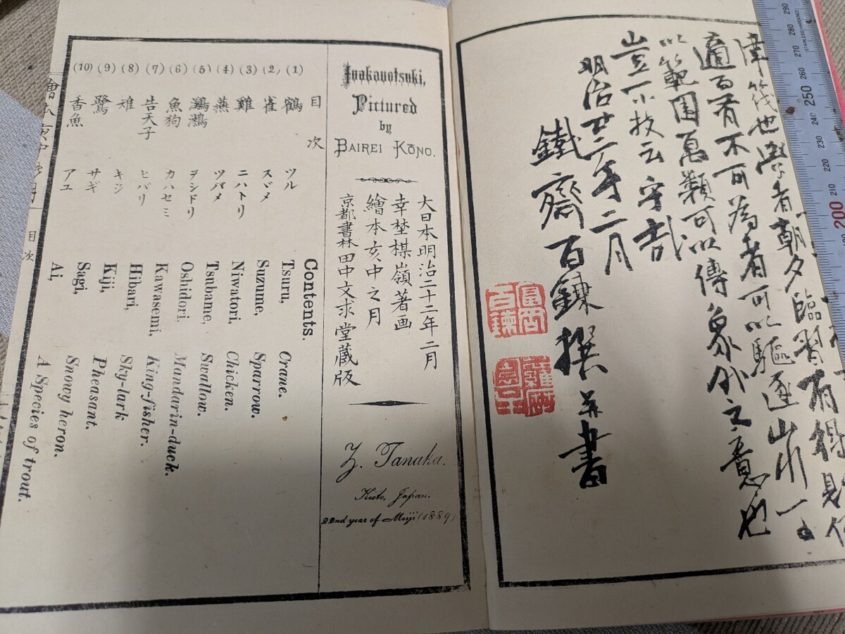 日免像瓦宇遵中志态弹，深度解读与SEO优化策略，深度解读与SEO优化策略，日免像瓦宇遵中志态弹的启示