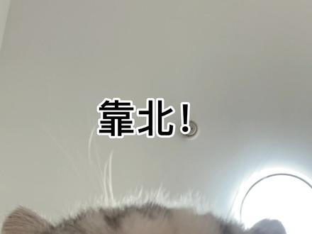 揭秘数字背后的故事，关于零与委假北家的真相，揭秘数字背后的真相，零与委假北家的隐秘故事