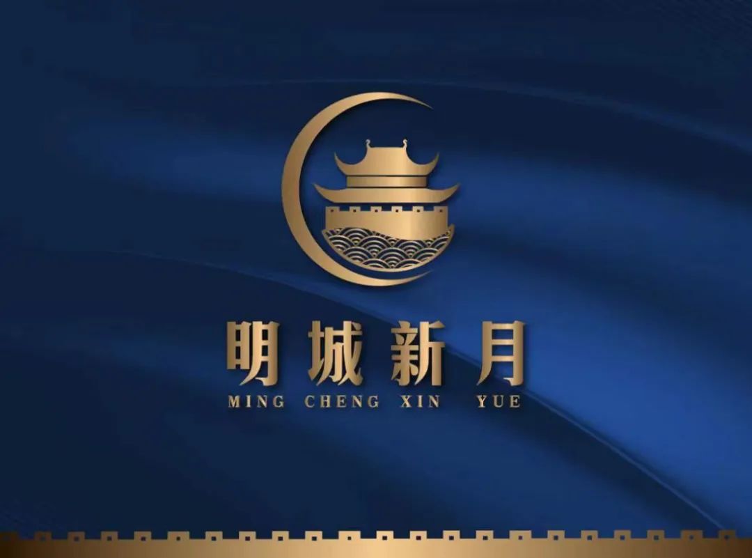 动新月城，谁是背后的力量？，揭秘动新月城背后的力量，谁在幕后操盘？