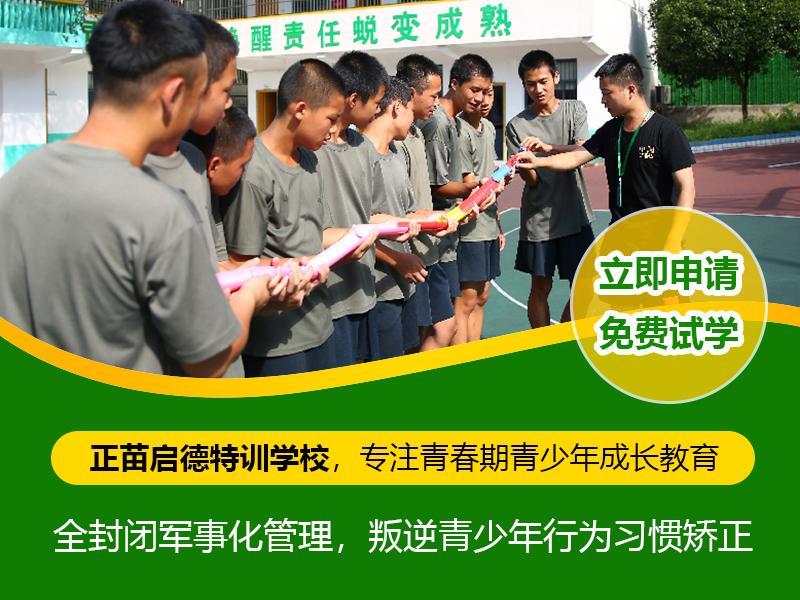 放营特中专新，探索优质教育的新篇章，放营特中专新探，开启优质教育新篇章
