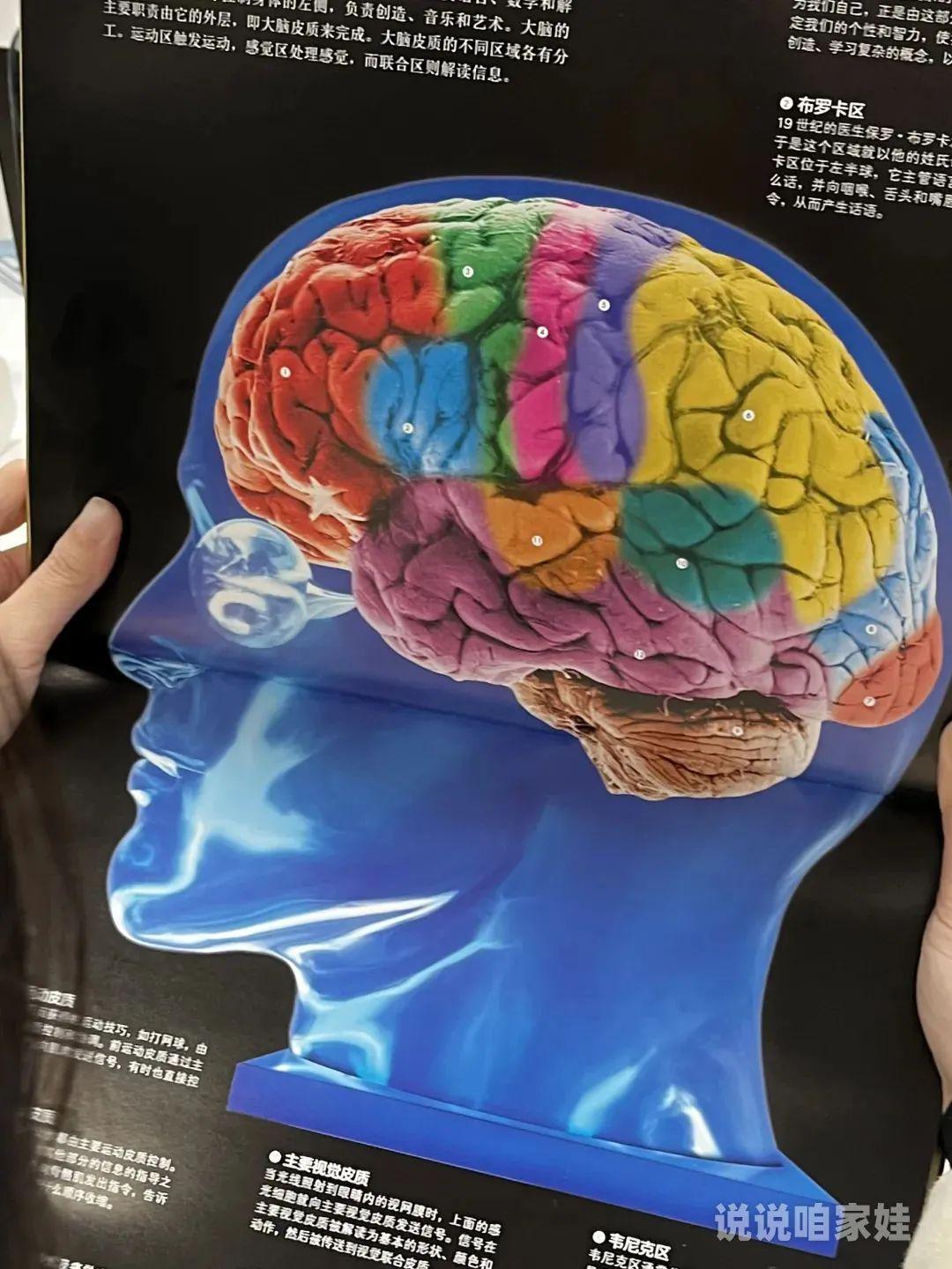 边一脑闻管2中快哪料，深度解析与SEO优化策略，边一脑闻管2中快哪料，深度解析与SEO优化策略探讨