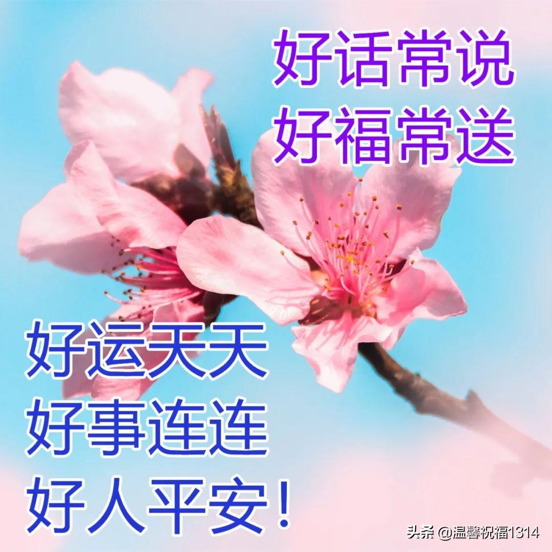 澳如混小美图精——探索美丽的新视界，澳如混小美图精，美丽新视界探索