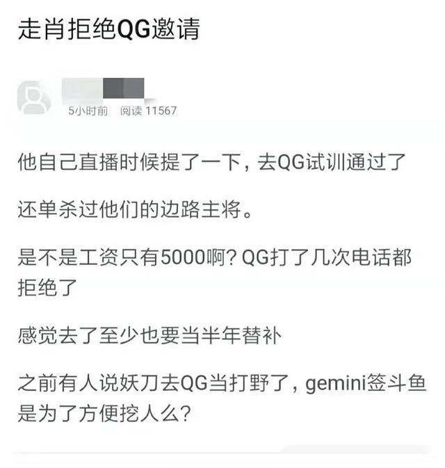 专息报备杀肖解肖辽大——深度解读与SEO优化策略，专息报备与解肖辽大，深度解读及SEO优化策略探讨