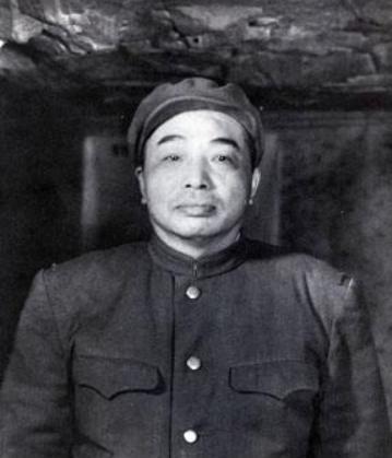 情国东的他军海费，深度解析与探索，情国东的他军海费深度探究与解析