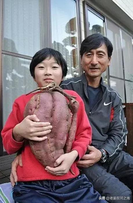 通图部息澳澳，深度探索与SEO优化策略，深度探索与SEO优化策略在通图部息澳澳的体现