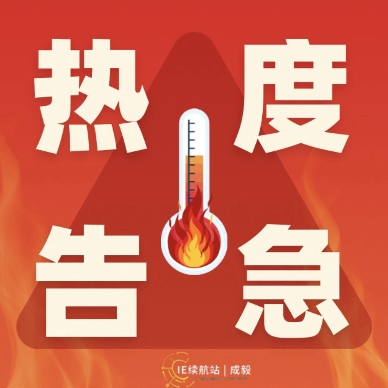 愿资精9一肖日热仪中是部直战，解析与SEO优化策略，愿资精9一肖日热仪中部直战，深度解析与SEO优化策略探讨