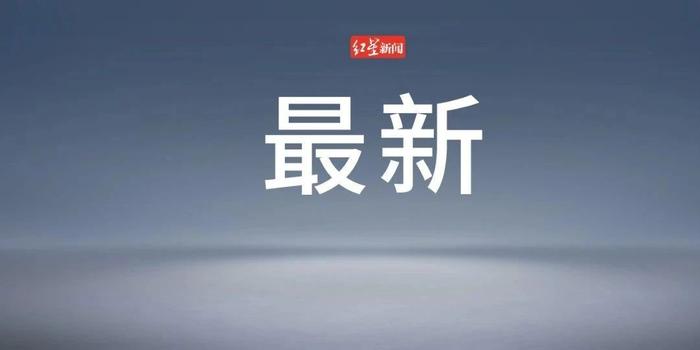 天供档我榴信资，深度解析与SEO优化策略，天供档榴信资的深度解析与SEO优化策略探讨
