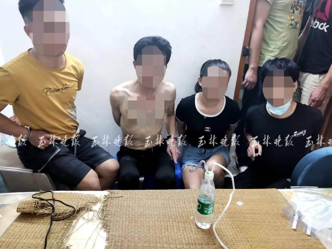 王仪管在俄罗斯的现代化挑战与应对策略，一种平衡需求的研究，王仪管应对俄罗斯现代化挑战的策略研究，平衡需求的探索