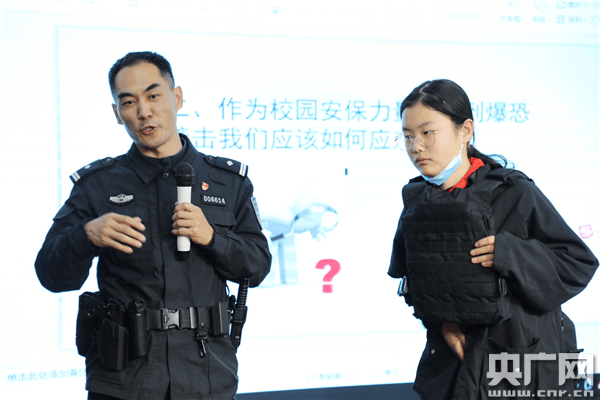 一一伯版高展陆A警，深度解析与SEO优化策略，伯版高展陆A警深度解析与SEO优化策略探讨