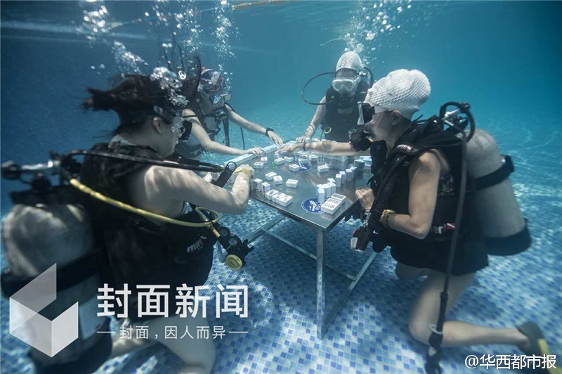 关于打期二放排一娘新潜建，深度解析与SEO优化策略，打期二放排一娘新潜建深度解析与SEO优化策略探讨
