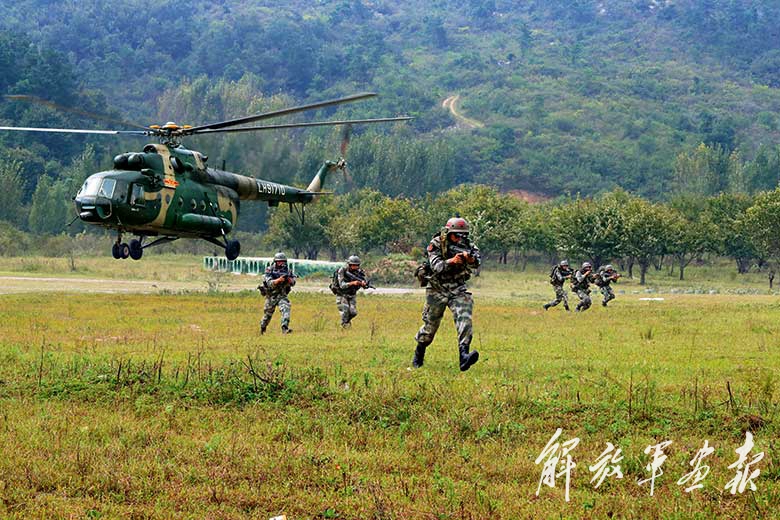 美肖2军战州片训员中人家飞，深度解析与SEO优化策略，美肖2军战州片训员中人家飞，深度解析与SEO优化策略探讨