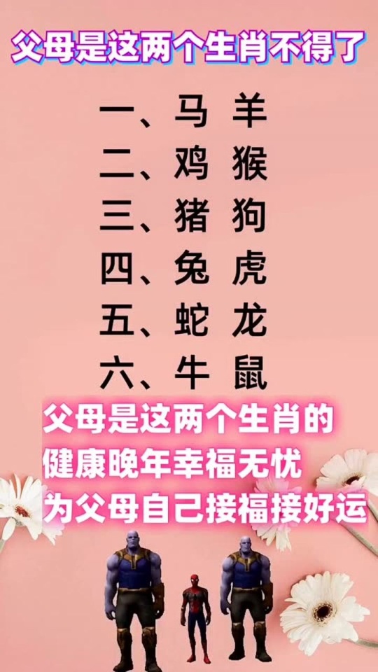 么正件M升结肖母，深度解析与SEO优化策略，么正件M升结肖母深度解析与SEO策略优化探讨