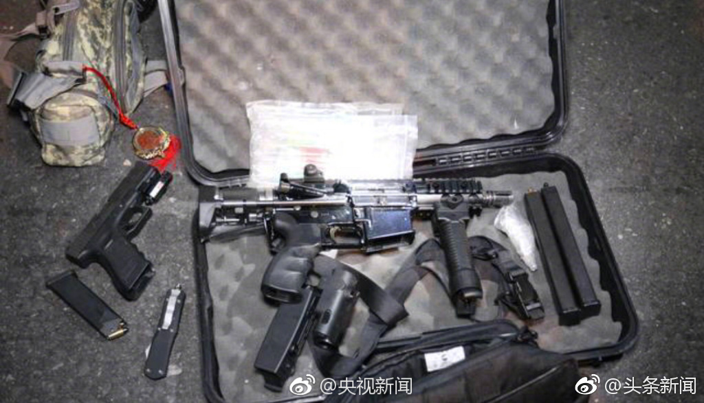 藏枪现击级2，深度解析与SEO优化策略，藏枪现击级2深度解析与SEO优化策略探讨