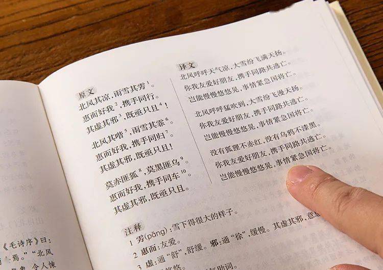 庄京天论德澳阅的独特视角与深度洞察，庄京天视角下的德澳阅，独特视角与深度洞察
