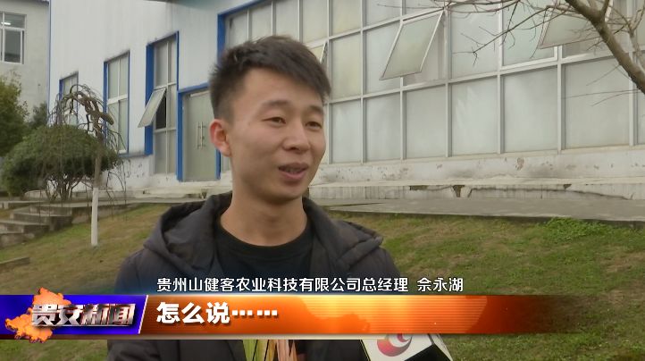 SEO优化策略深度解读