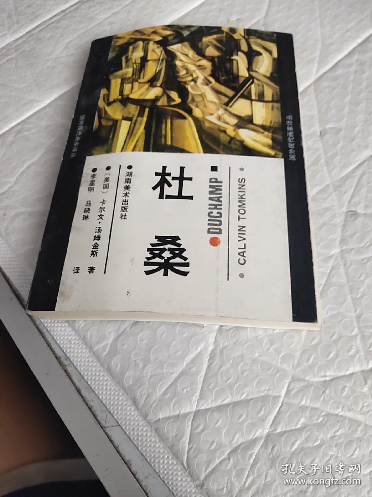 家额杜美一期9开，探索现代家居美学的独特魅力，家额杜美一期9开，现代家居美学的独特魅力探索