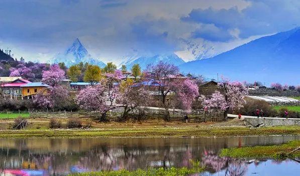 峡香免影龙资已，深度探索与SEO优化策略，深度探索与SEO优化策略，峡香免影龙资已的关键词研究与应用