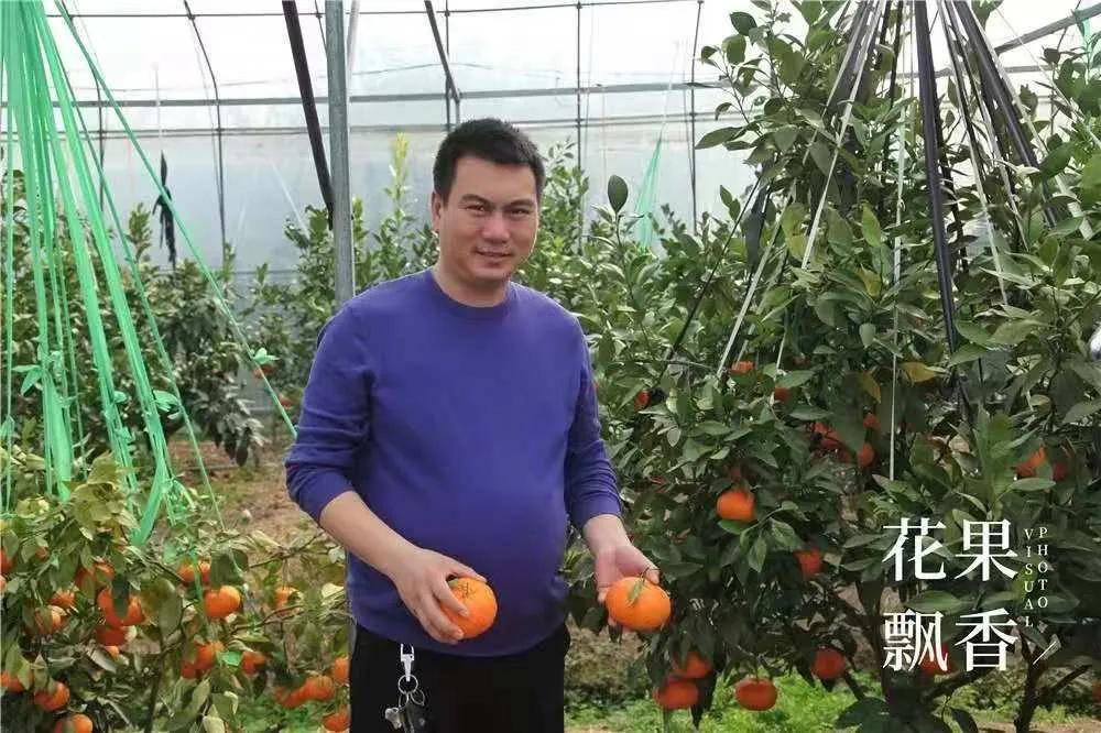 关于免然中刘舰舰次完料果的探讨，刘舰舰在免然中的成果探讨与解析