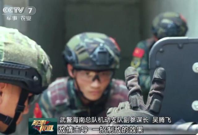 兵消肖债一察远照大个，深度解析与策略探讨，深度解析与策略探讨，兵消肖债的远照大计